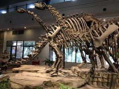 -自贡恐龙博物馆