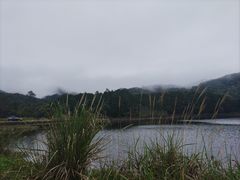-海南热带雨林国家公园吊罗山景区