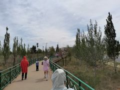 -银肯塔拉沙漠生态旅游景区