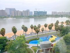 -金沙湖公园
