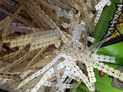 -大玩家(哈尔滨悦荟店)