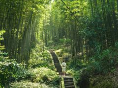 -蜀南竹海景区