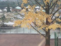 -重庆南山海昌汤都