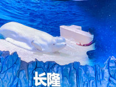 -珠海长隆海洋王国