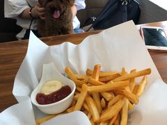 -百好乐宠物友好餐厅(朝外大街店)