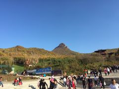 -帽儿山风景区