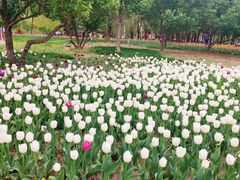 -长春公园(普阳街道)