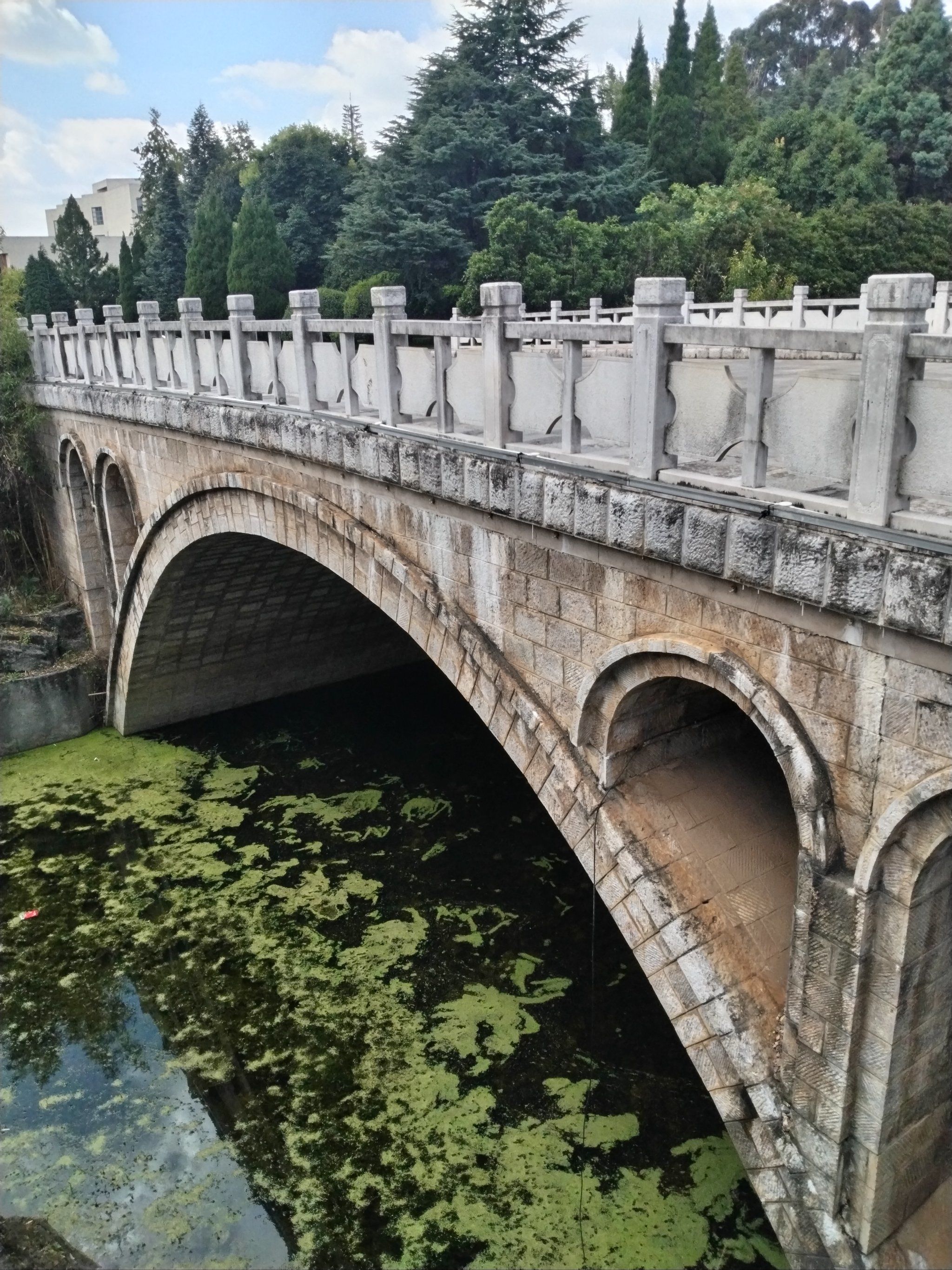 这座石桥很眼熟