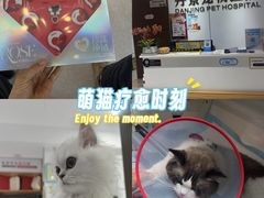 -丹景宠物医院·全科·老年病·牙科(武昌诊疗中心)
