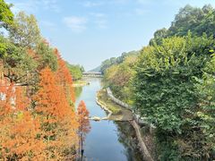 -广州市帽峰山景区