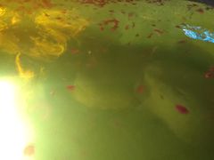 -天屿湖