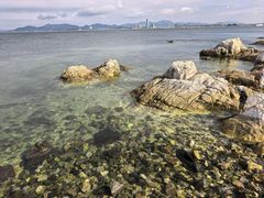-养马岛旅游度假区