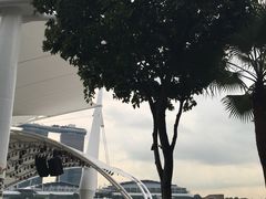 -无招牌海鲜餐厅(滨海艺术中心店)