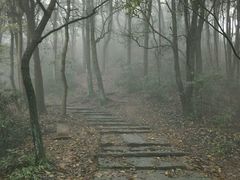 android_upload_pic-西湖风景区十里琅珰-五云山