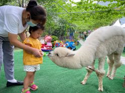 -萌宠亲子动物乐园(槐房万达店)