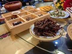 -昆虫窝子·特色云南菜(拓东路总店)