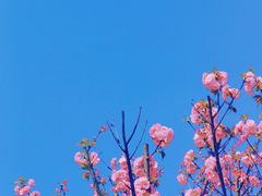 -南山植物园