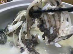 -天乐农家鱼头王(天目湖店)