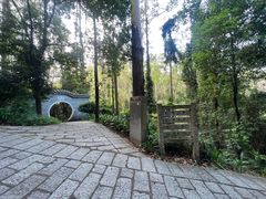 -水濂山森林公园