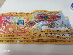 -辛玛王国游乐园