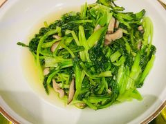 ws香菇鸡毛菜-辛香汇(飞洲店)