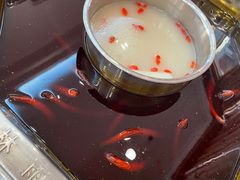 -绵阳森林雨鸭肠王火锅城(丽景花城店)