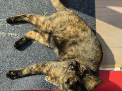 -EATALIA意塔利意式餐厅(鼓楼店)