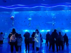-石家庄极地海洋世界