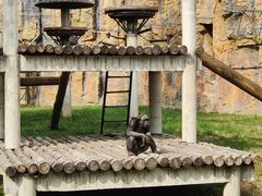 -石家庄市动物园