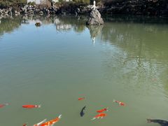 -陶祖圣境风景区