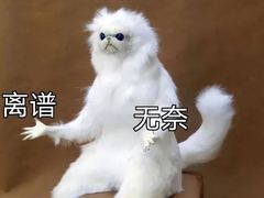 -菜道味·开坛湘·坛子菜·钵子饭(麓云店)