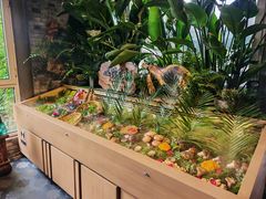 -慢丽江·云南野生菌土鸡锅(西山店)