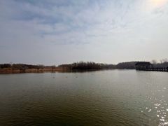 -溱湖国家湿地公园