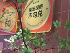 -椒王