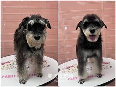-FAELING PETS美天灵宠物(合生汇店)