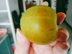 -呼吸森林·生态农庄农家乐私房菜