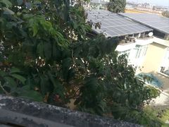 -188西餐厅(园林宾馆店)