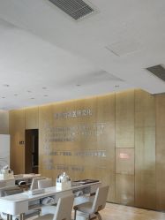 -四川米兰柏羽医学美容医院