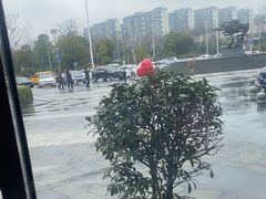 -徐记海鲜(梅溪新天地店)