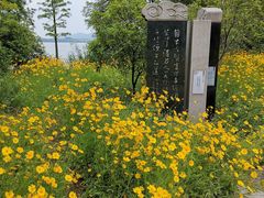 -高子水居