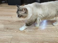 -白兔子密室(长寿路店)