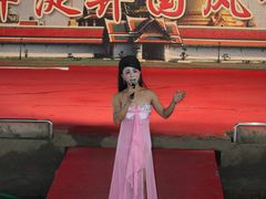 -白洋淀景区