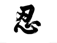 -南汇桃花村