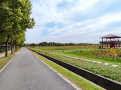 -嘉北郊野公园