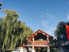 -野鸭湖国家湿地公园