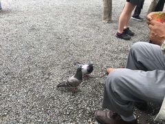 -京都御所