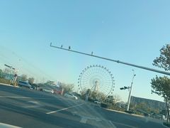 -琴岛之星摩天轮