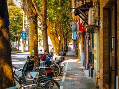 -Feiyue飞跃(长乐路店)