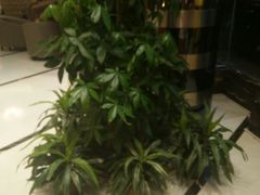 -御水泉·国际水疗会(广州长隆店)