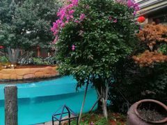 -忆江南·临江鱼馆